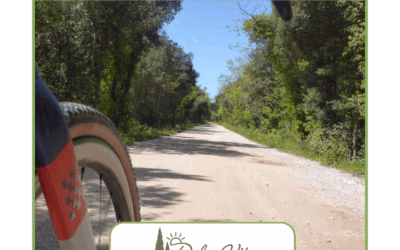 Gravelbiken in der Maremma – Graveltour ab Massa Marittima