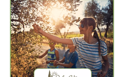 Toskana mit Kindern – Familienferien ab Massa Marittima