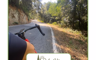 Veloferien in der Toskana – Rennradtouren ab Massa Marittima