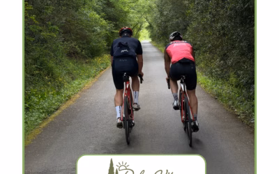 Radtouren, Gravel und MTB rund um Massa Marittima